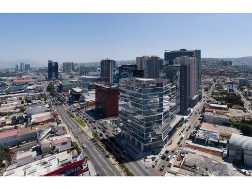 Ofis Tijuana, Estado de Baja California