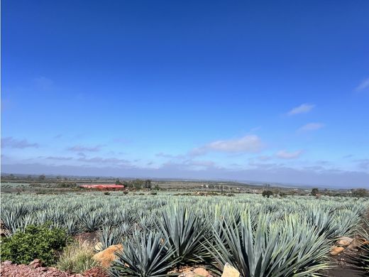 ‏בתים כפריים או חוות ב  San Julián, Estado de Jalisco