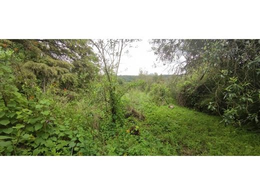 Land in Valle de Bravo, Estado de México