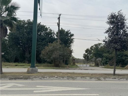 Arsa Pesquería, Estado de Nuevo León