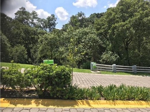 토지 / Ciudad López Mateos, Atizapán de Zaragoza