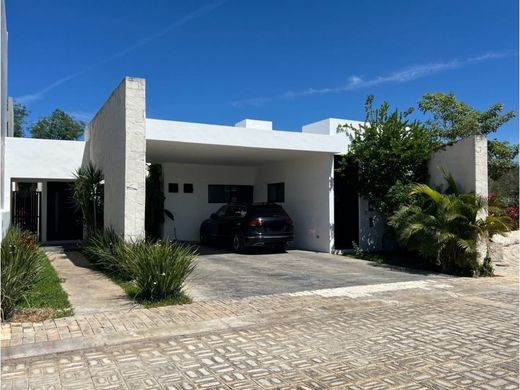 호화 저택 / Mérida, Estado de Yucatán