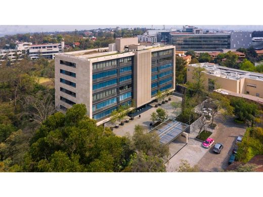 Apartment in Miguel Hidalgo, The Federal District