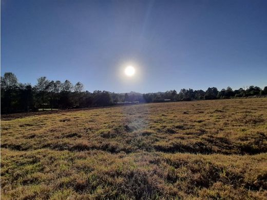 Teren w Valle de Bravo, Estado de México