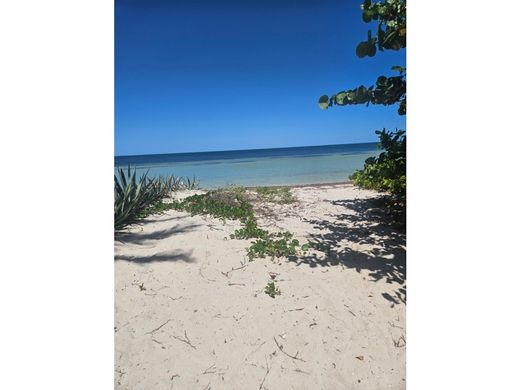 أرض ﻓﻲ San Crisanto, Sinanché