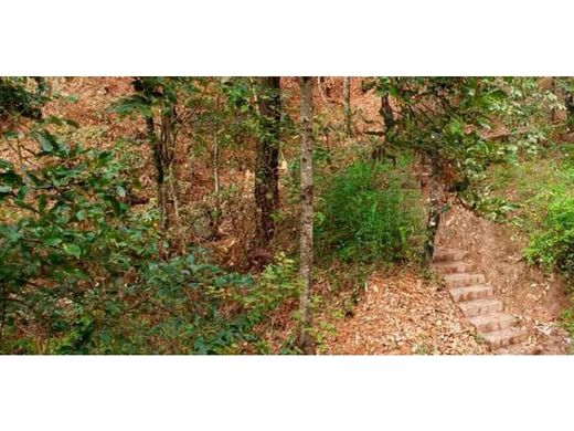 Teren w Valle de Bravo, Estado de México