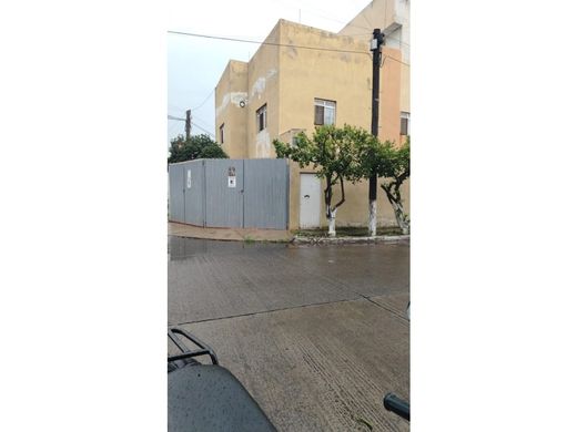 豪宅  Zamora, 米却肯州