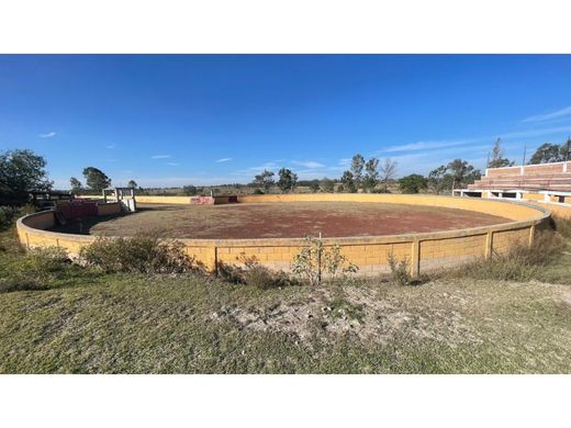 Quinta rústica - Aculco de Espinoza, Aculco