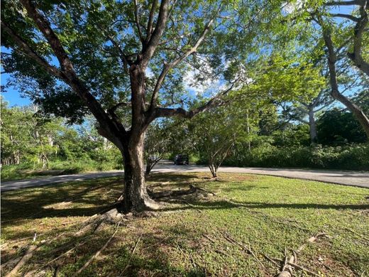 Land in Mérida, Yucatán