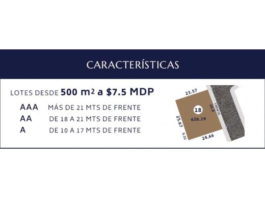 Arsa Monterrey, Estado de Nuevo León