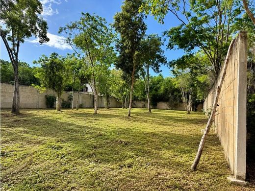 Land in Cancún, Benito Juárez