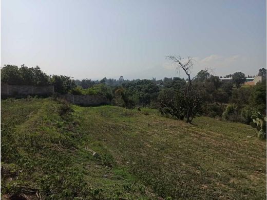 Amaxac de Guerrero, Estado de Tlaxcalaの土地