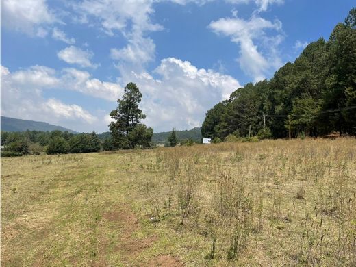 أرض ﻓﻲ Valle de Bravo, Estado de México