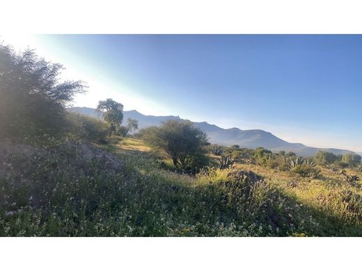 Land in Actopan, Hidalgo
