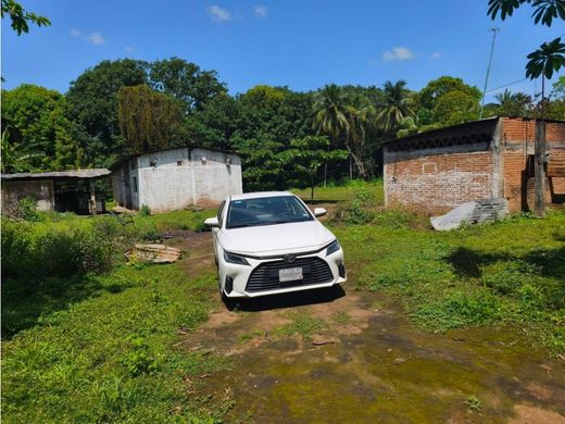 地皮  Tapachula, 恰帕斯州