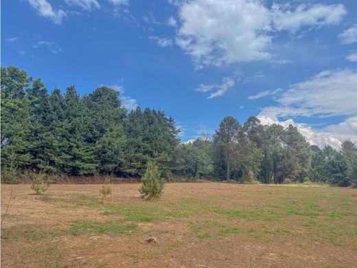 Terreno a Valle de Bravo, Messico (stato federato)