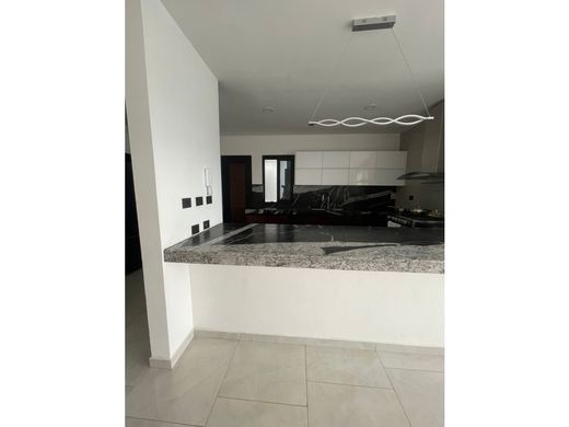 호화 저택 / Villahermosa, Centro