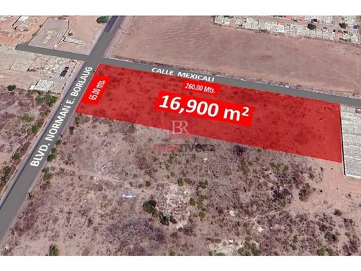 Teren w Ciudad Obregón, Cajeme