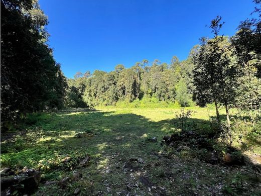Terreno a Valle de Bravo, Messico (stato federato)