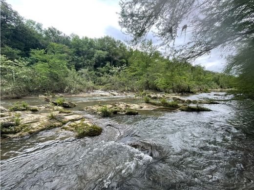 Ciudad de Allende, Allendeのカントリー風またはファームハウス