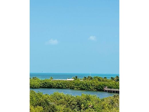 토지 / Cancún, Benito Juárez