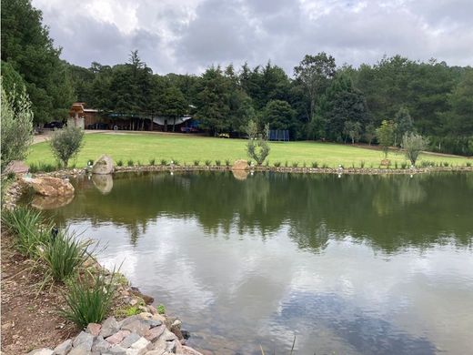 토지 / Valle de Bravo, Estado de México