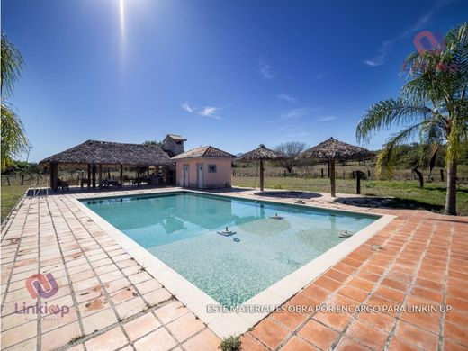 Arsa Linares, Estado de Nuevo León