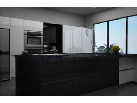 호화 저택 / San Pedro, China