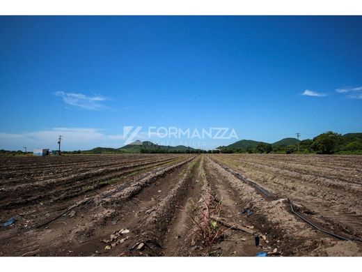 Cortijo o casa de campo en Ciudad de Armería, Armería