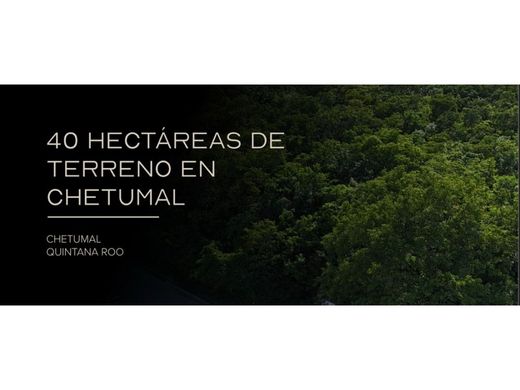 Terreno - Chetumal, Othón P. Blanco