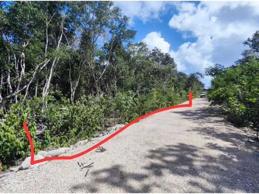 Arsa Tulum, Estado de Quintana Roo