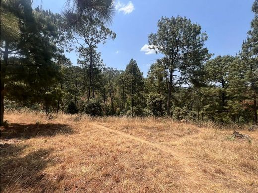 Land in Valle de Bravo, Estado de México