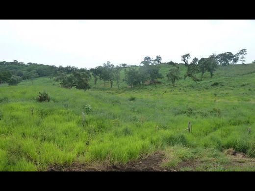Land for sale in Acayucan