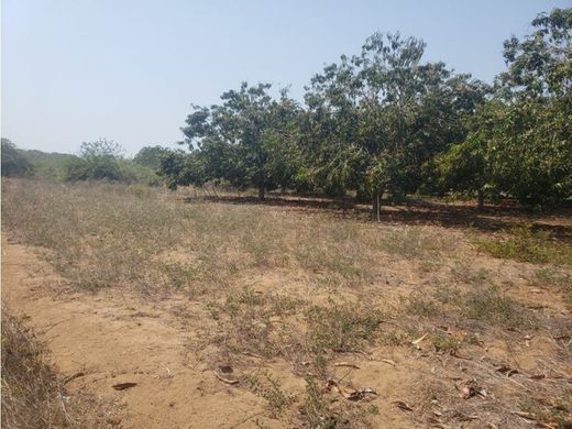 Terreno en Acapulco, Acapulco de Juárez