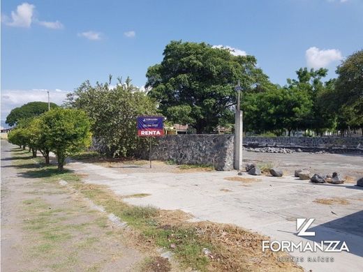 Terreno a Ciudad de Villa de Álvarez, Villa de Álvarez