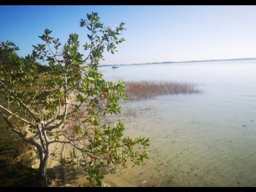 أرض ﻓﻲ Bacalar, Othón P. Blanco