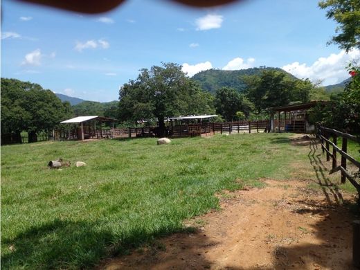 ﻣﻨﺰﻝ ﺭﻳﻔﻲ/ ﺑﻴﺖ ﻤﺰﺭﻋﺔ ﻓﻲ Villa Corzo, تشياباس