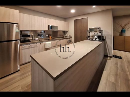 ﺷﻘﺔ ﻓﻲ Santa Catarina, Estado de Nuevo León