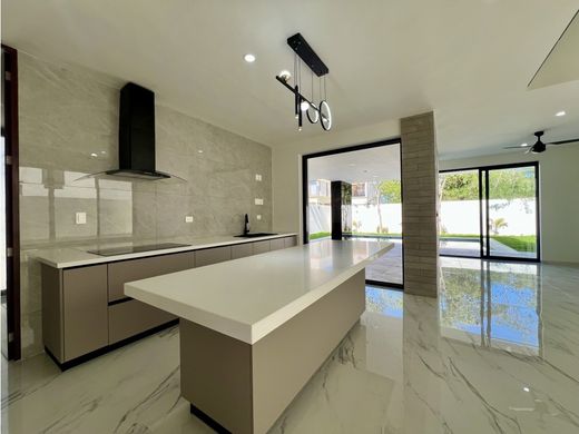 호화 저택 / Mérida, Estado de Yucatán