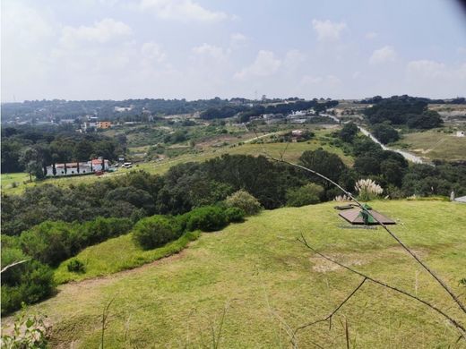 Ciudad López Mateos, Atizapán de Zaragozaの土地