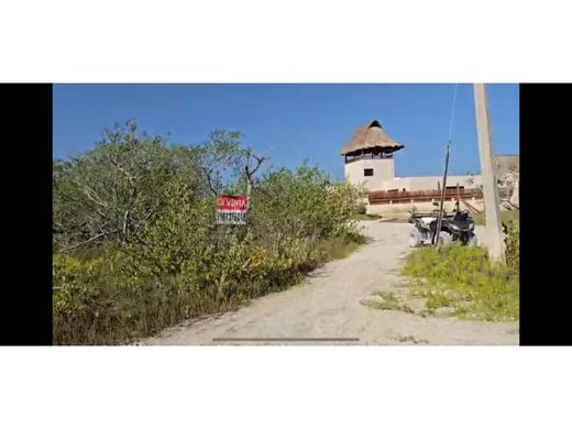 地皮  Lázaro Cárdenas, Othón P. Blanco