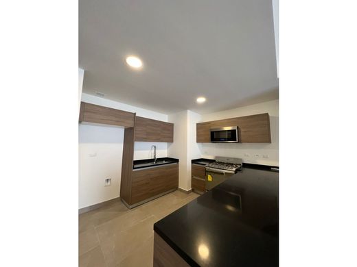 Apartment / Etagenwohnung in Santa Catarina, Nuevo León