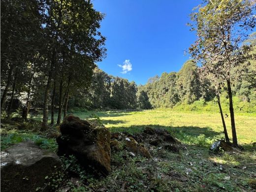 Αγροτεμάχιο σε Valle de Bravo, Estado de México