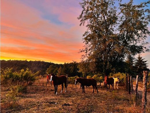 Terrain à Valle de Bravo, Estado de México