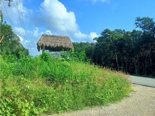 Terreno - Felipe Carrillo Puerto, Quintana Roo