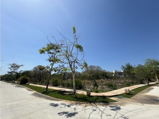 地皮  梅里达, Mérida