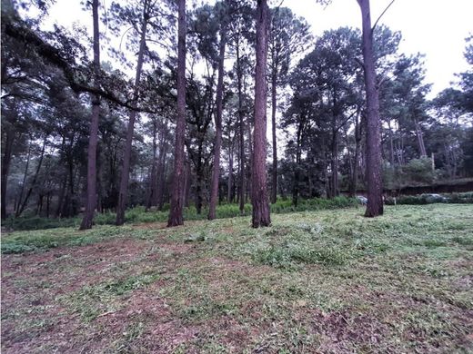 Land in Valle de Bravo, Estado de México