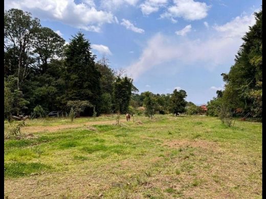 地皮  Valle de Bravo, 墨西哥州