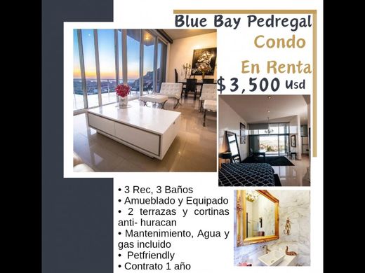 Apartment for rent per month in Cabo San Lucas