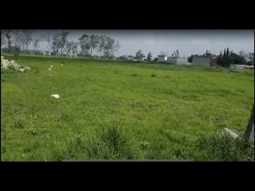 Teren w Temamatla, Estado de México